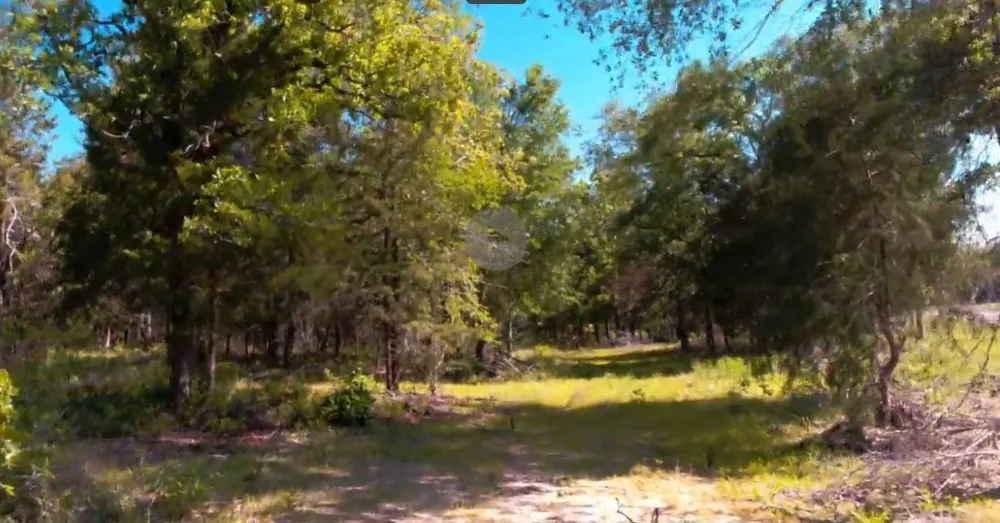 1943 Fm 489 E Fairfield, TX 75840