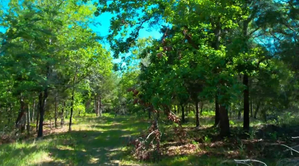 1943 Fm 489 E Fairfield, TX 75840