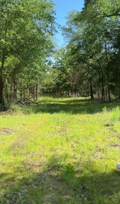 1943 Fm 489 E Fairfield, TX 75840
