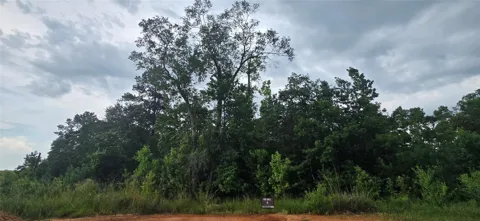 S6513 Lakekand Ranch Section 9, Block 14 Tract 387