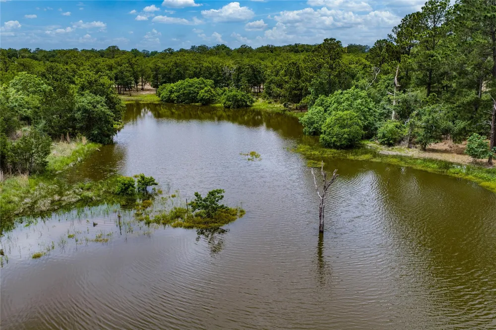 1555 Wildwood Road Ledbetter, TX 78946