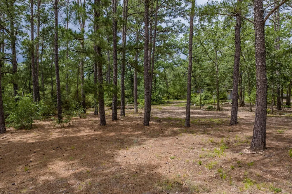 1555 Wildwood Road Ledbetter, TX 78946