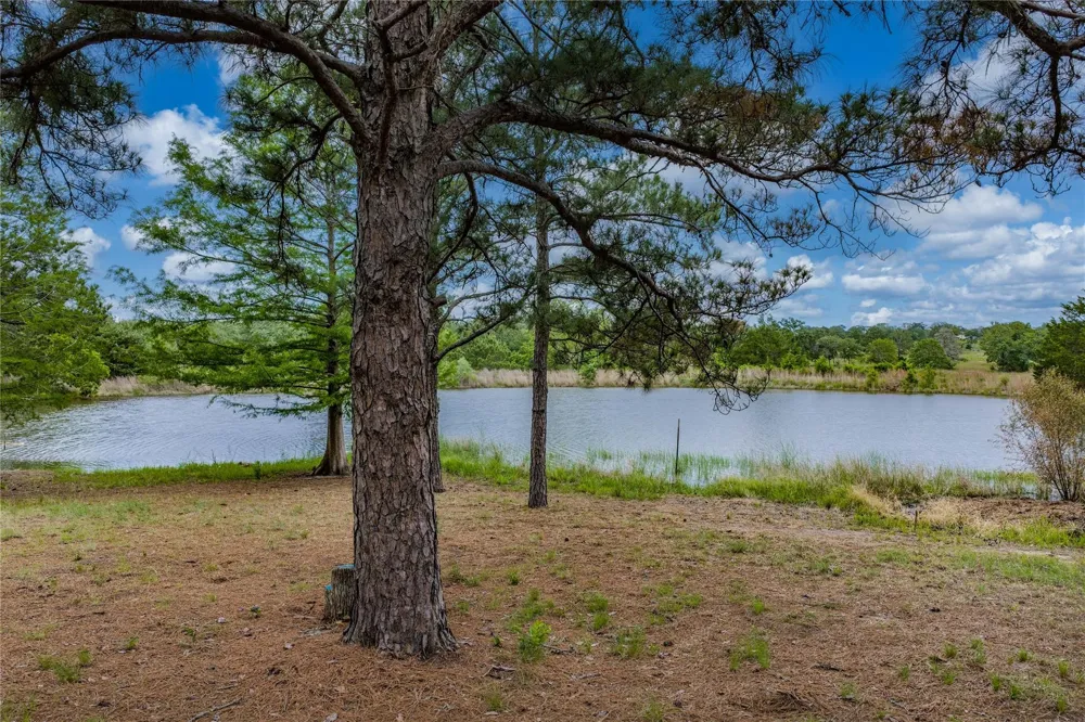 1555 Wildwood Road Ledbetter, TX 78946