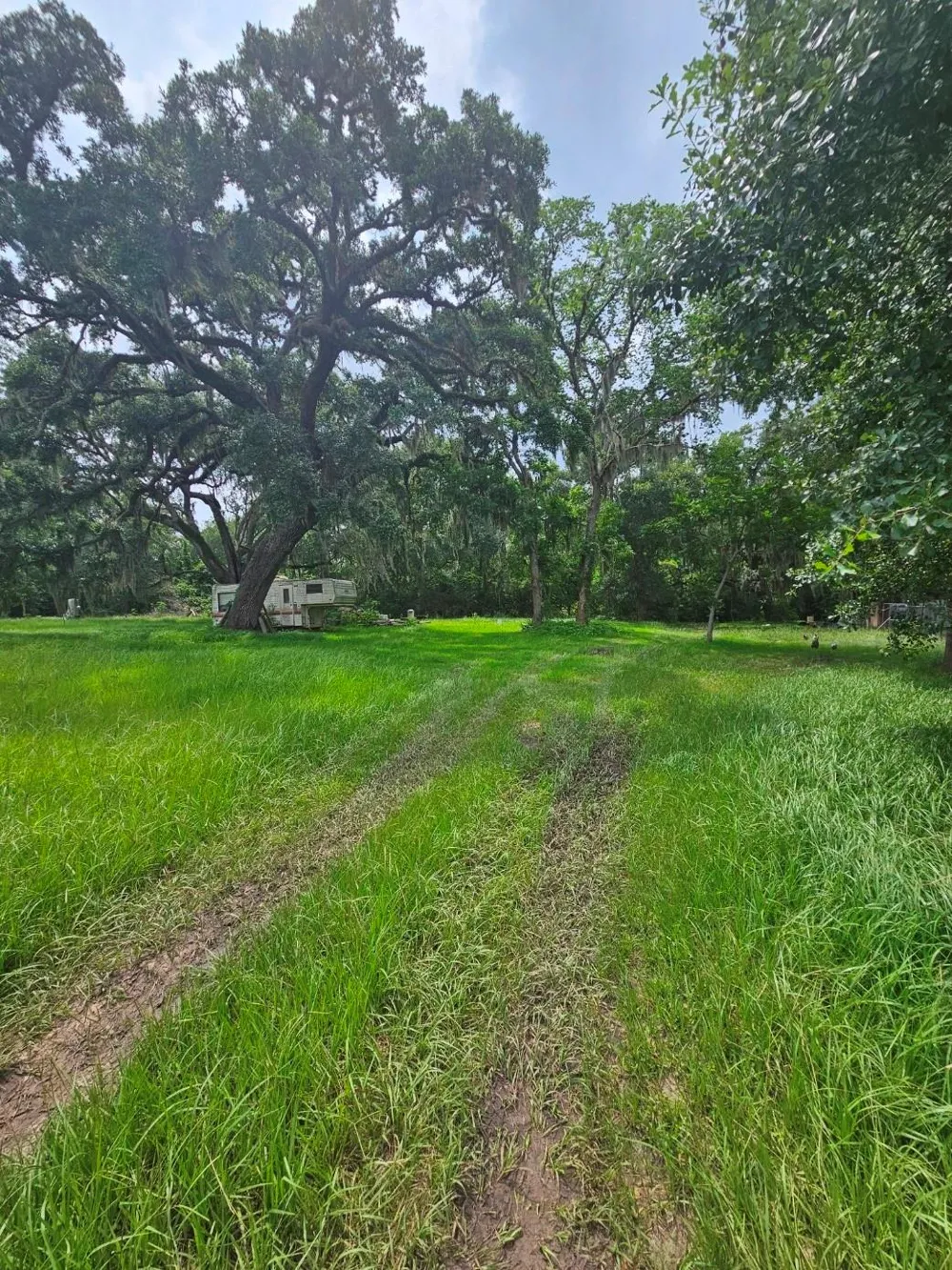 19280 Highway 35 Sweeny, TX 77480