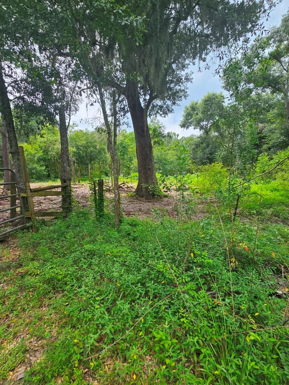 19280 Highway 35 Sweeny, TX 77480