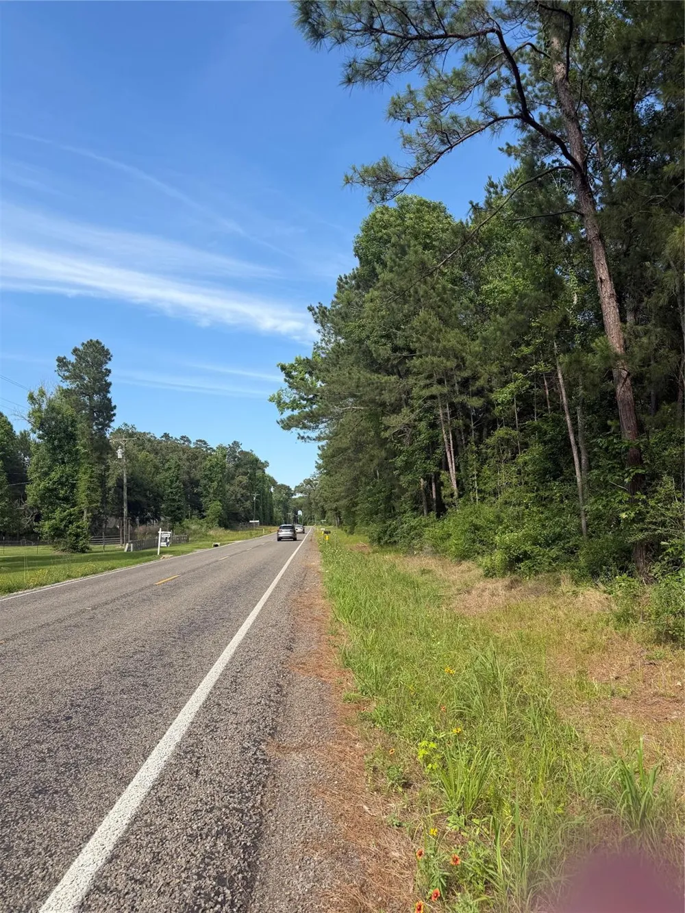 Fm 1127 Road Shepherd, TX 77371