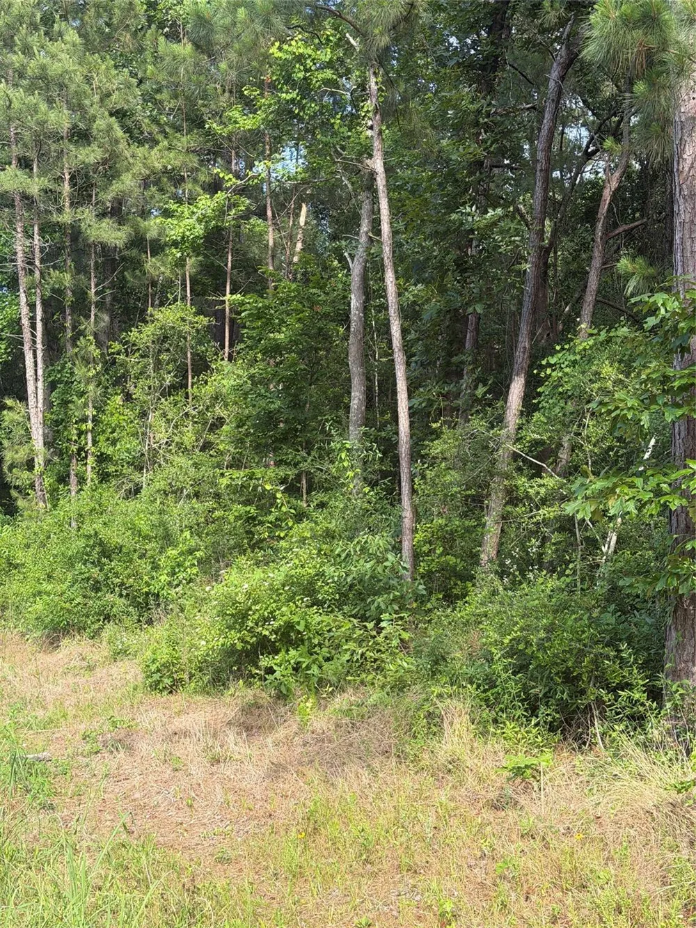 Fm 1127 Road Shepherd, TX 77371