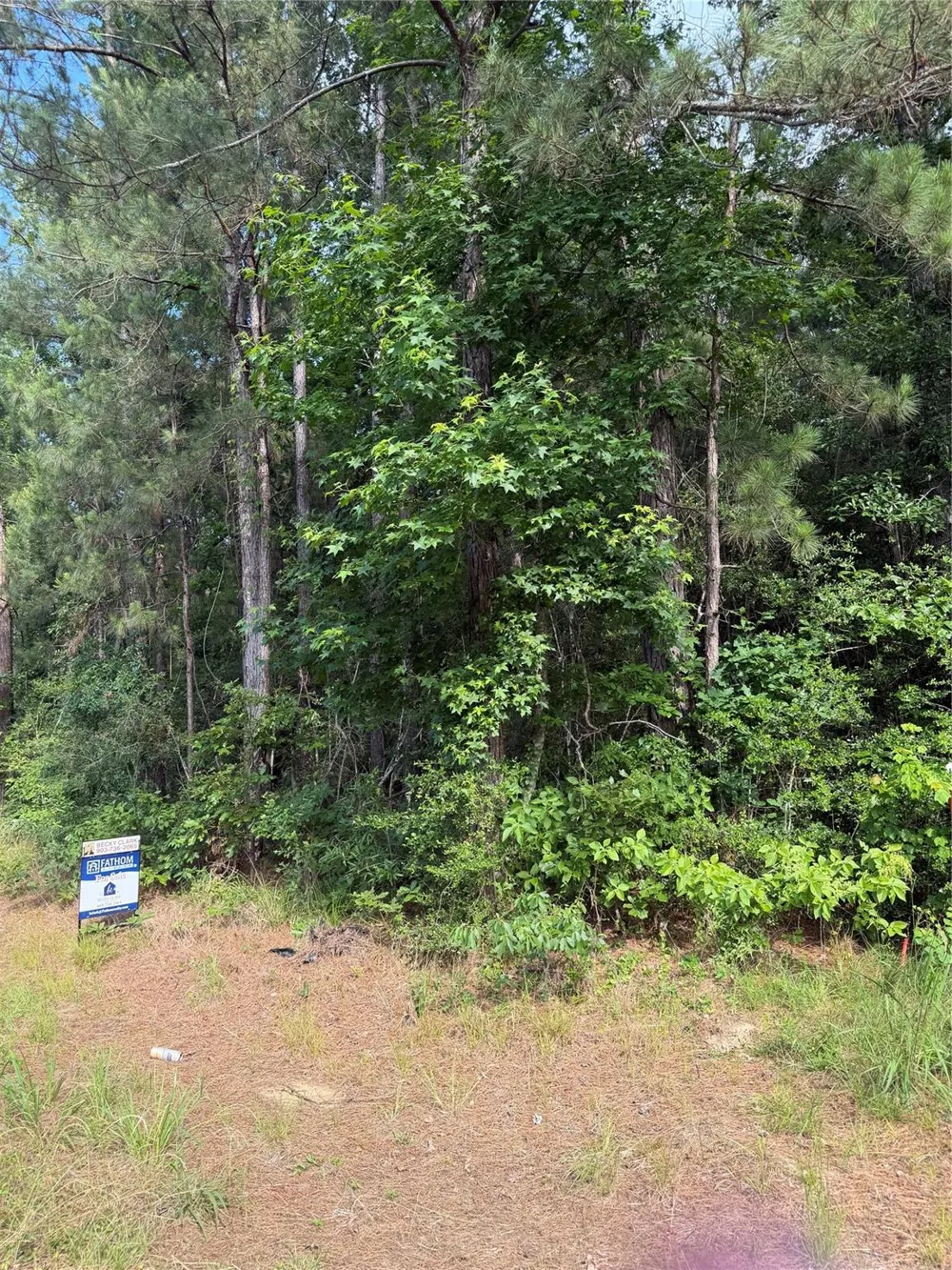Fm 1127 Road Shepherd, TX 77371