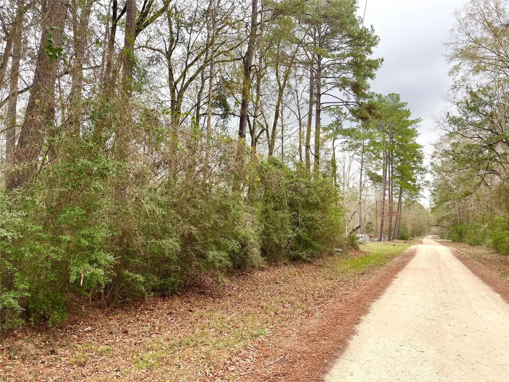 Pine Valley Drive Shepherd, TX 77371
