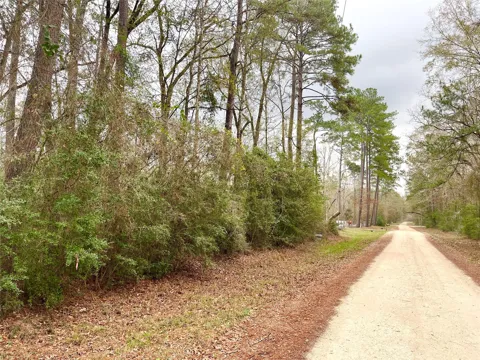 Pine Valley Drive