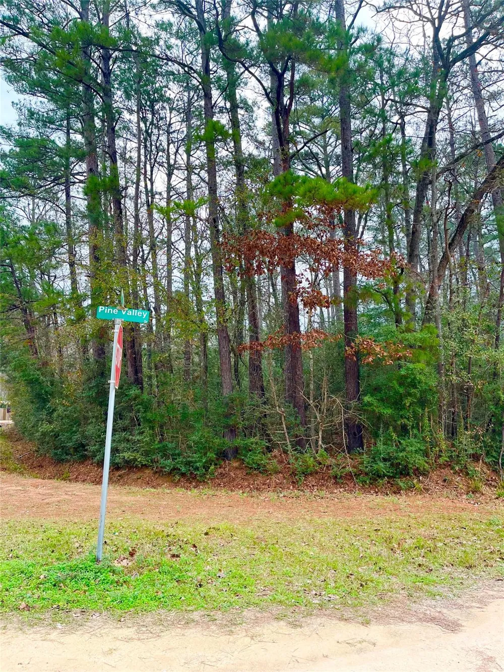 Pine Valley Drive Shepherd, TX 77371