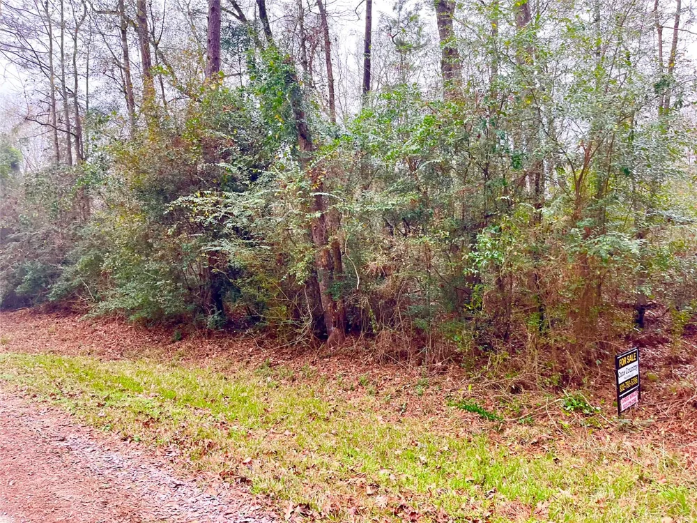 Pine Valley Drive Shepherd, TX 77371