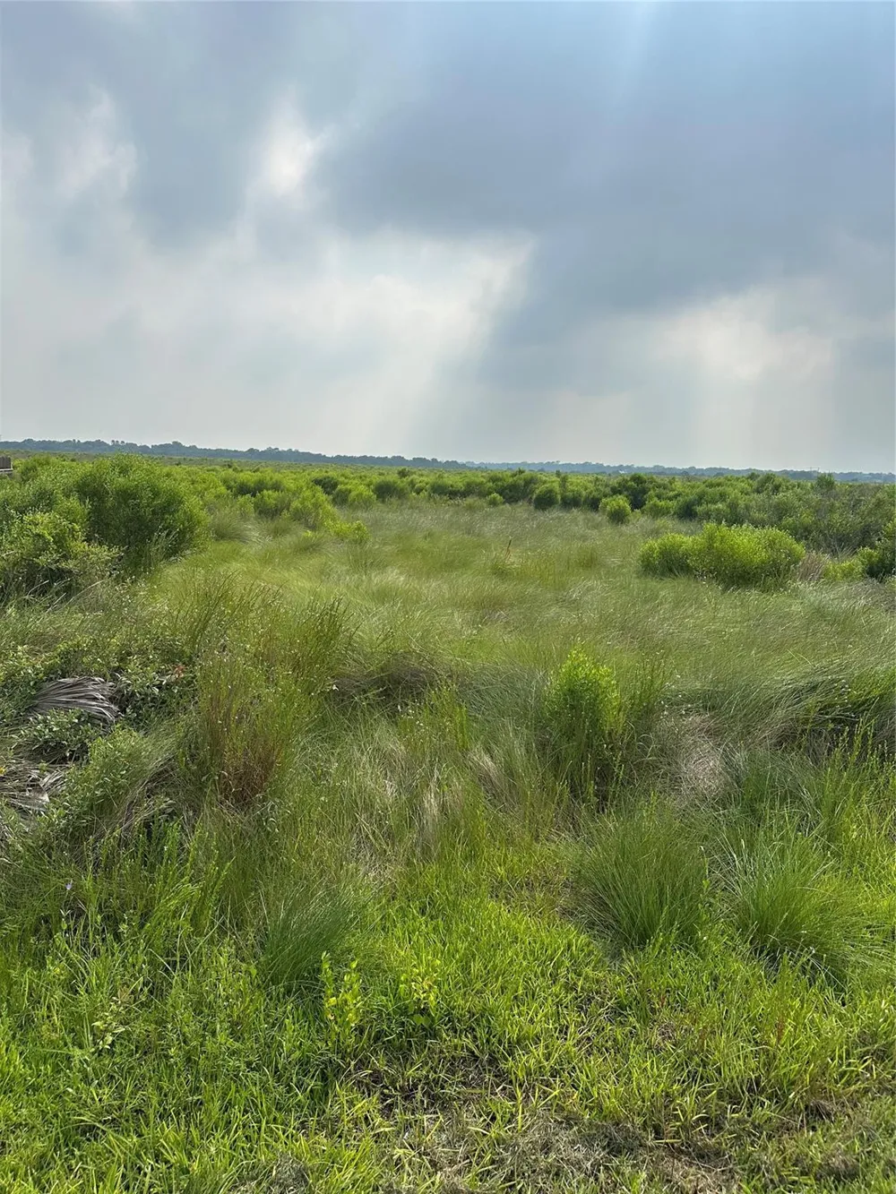 299 County Road 299 Heron Dr Sargent, TX 77414