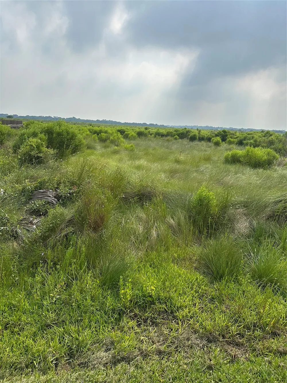 299 County Road 299 Heron Dr Sargent, TX 77414