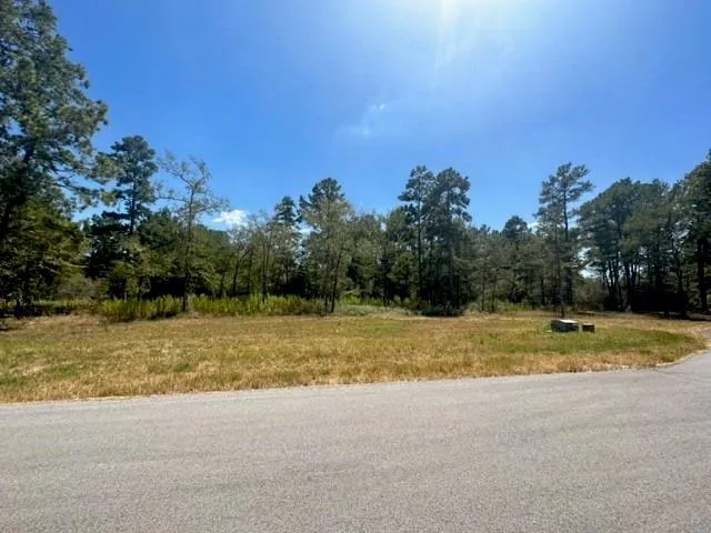 Westview - 20 Acres Huntsville, TX 77320