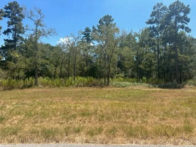 Westview - 20 Acres Huntsville, TX 77320