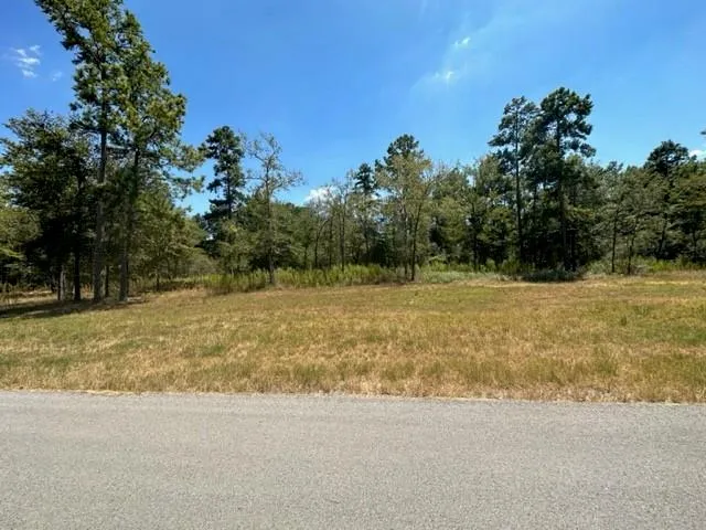Westview - 20 Acres Huntsville, TX 77320