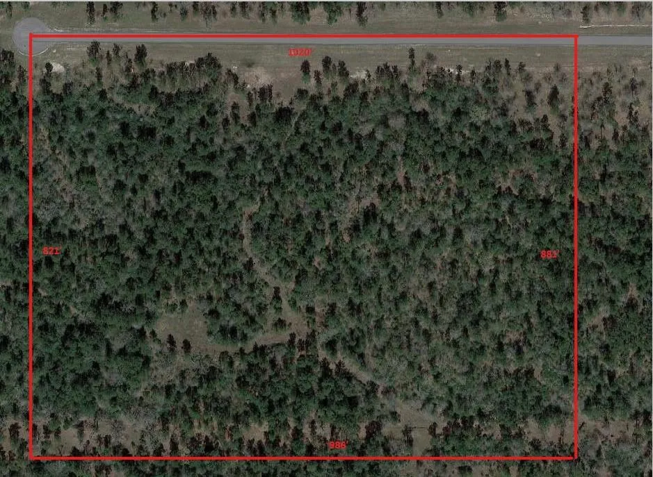 Westview - 20 Acres Huntsville, TX 77320