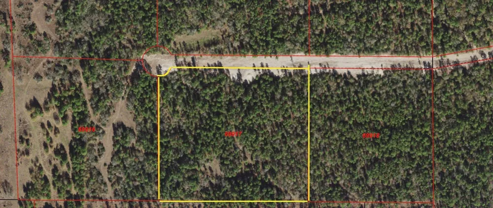 Westview - 20 Acres Huntsville, TX 77320