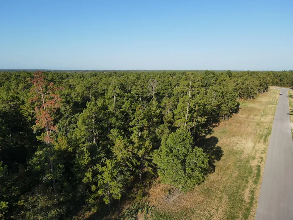 Westview - 20 Acres Huntsville, TX 77320