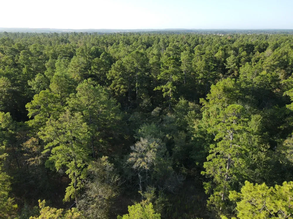 Westview - 20 Acres Huntsville, TX 77320