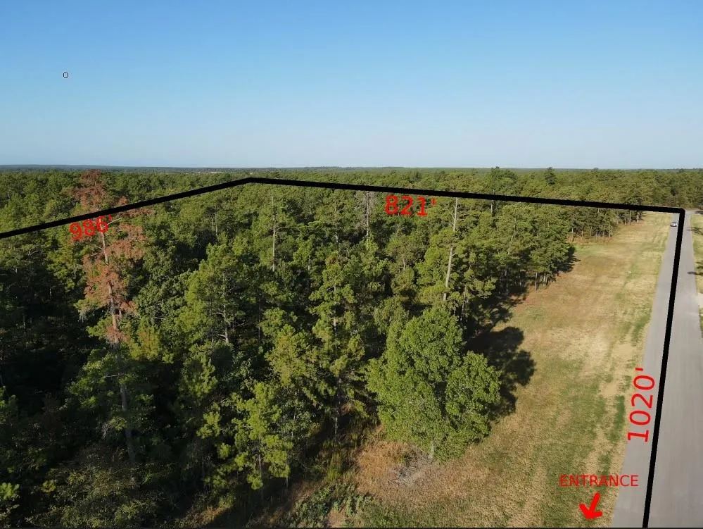 Westview - 20 Acres Huntsville, TX 77320
