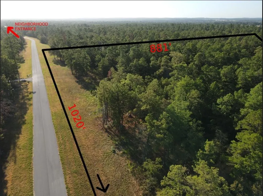 Westview - 20 Acres Huntsville, TX 77320