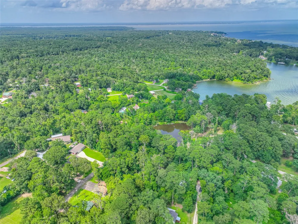 Buckeye Lane Point Blank, TX 77364