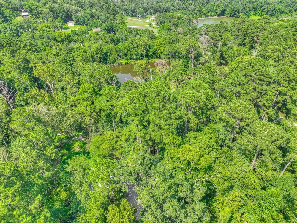 Buckeye Lane Point Blank, TX 77364