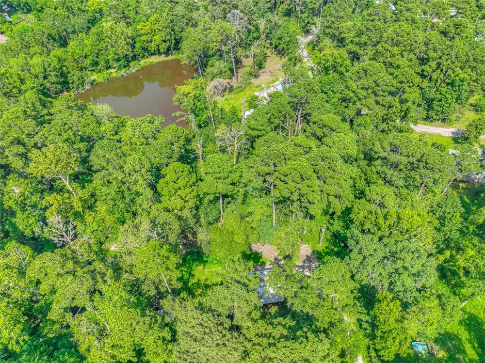 Buckeye Lane Point Blank, TX 77364