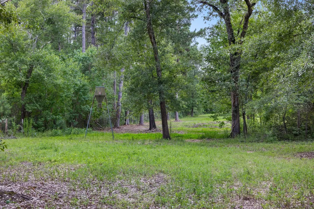 4942 Old Wagon Lane Richards, TX 77873