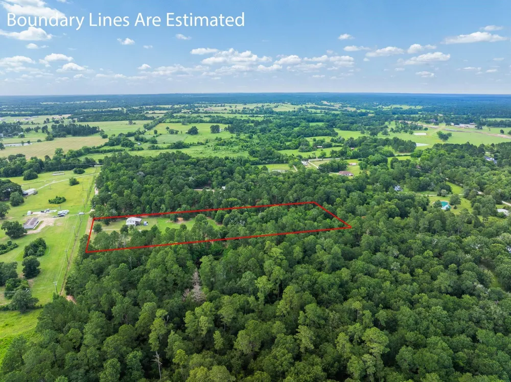 4942 Old Wagon Lane Richards, TX 77873