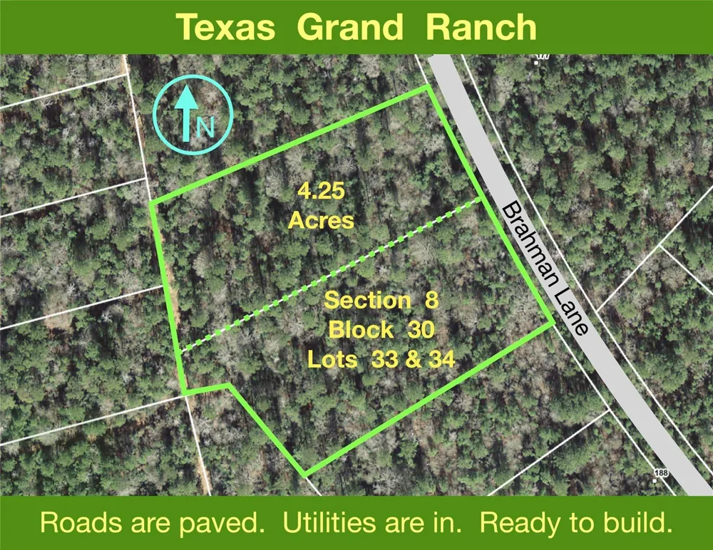 8 Brahman Lane New Waverly, TX 77358
