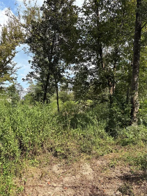 Walnut Ridge Road