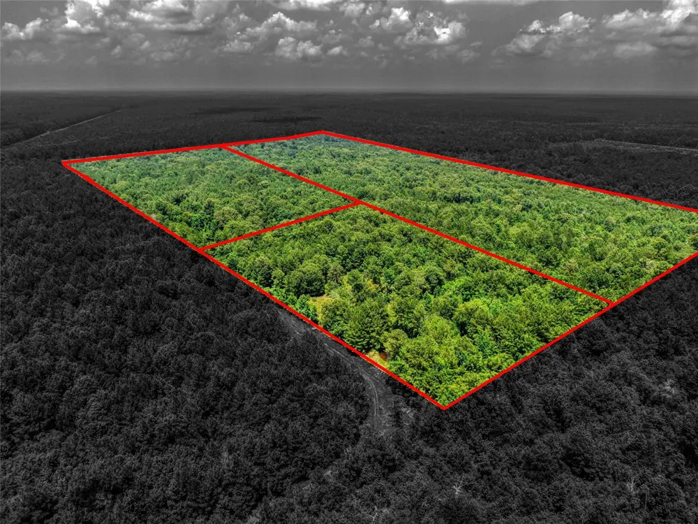 Pelican Road Shepherd, TX 77371