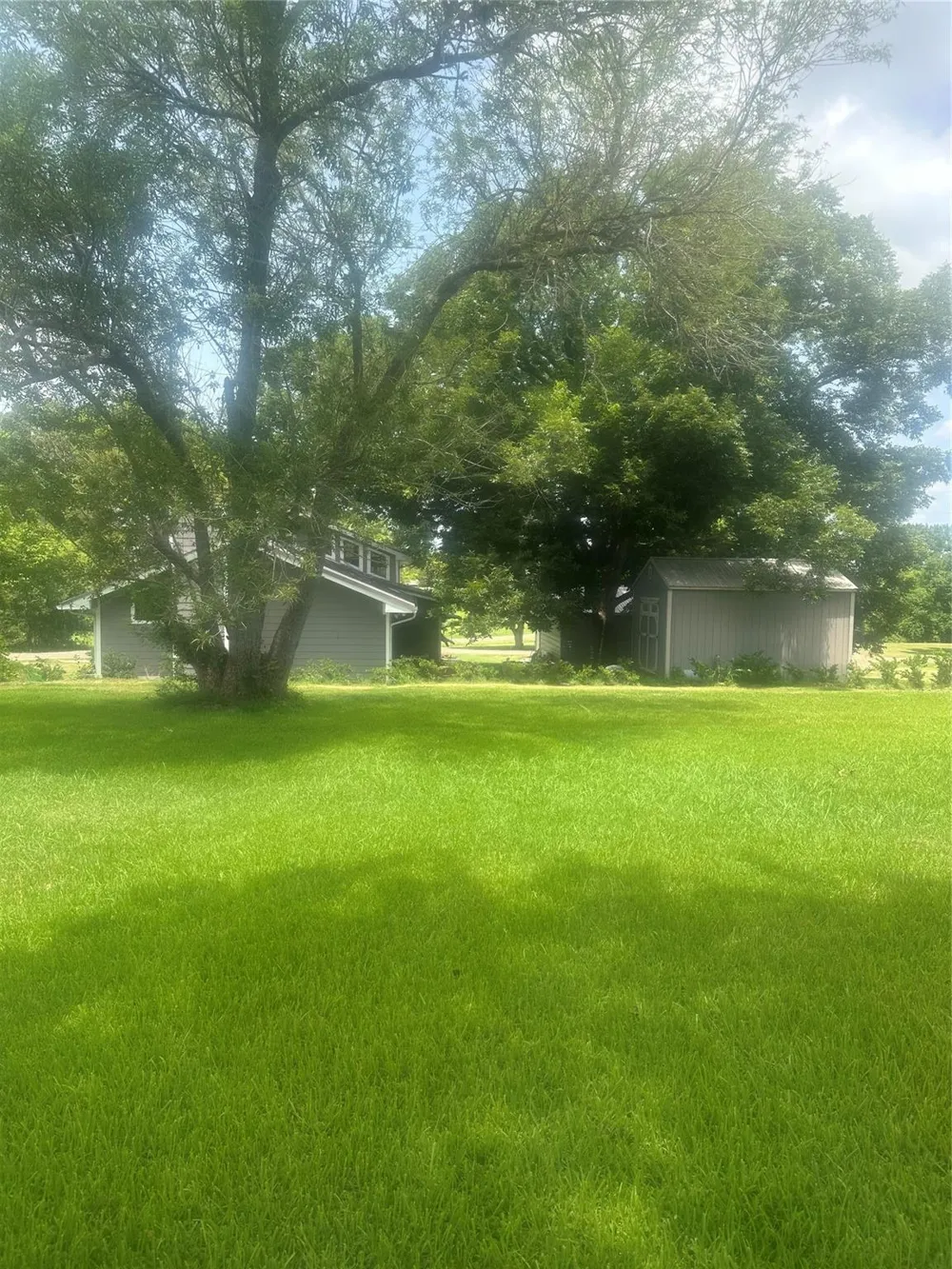 Terrace Drive Point Blank, TX 77364