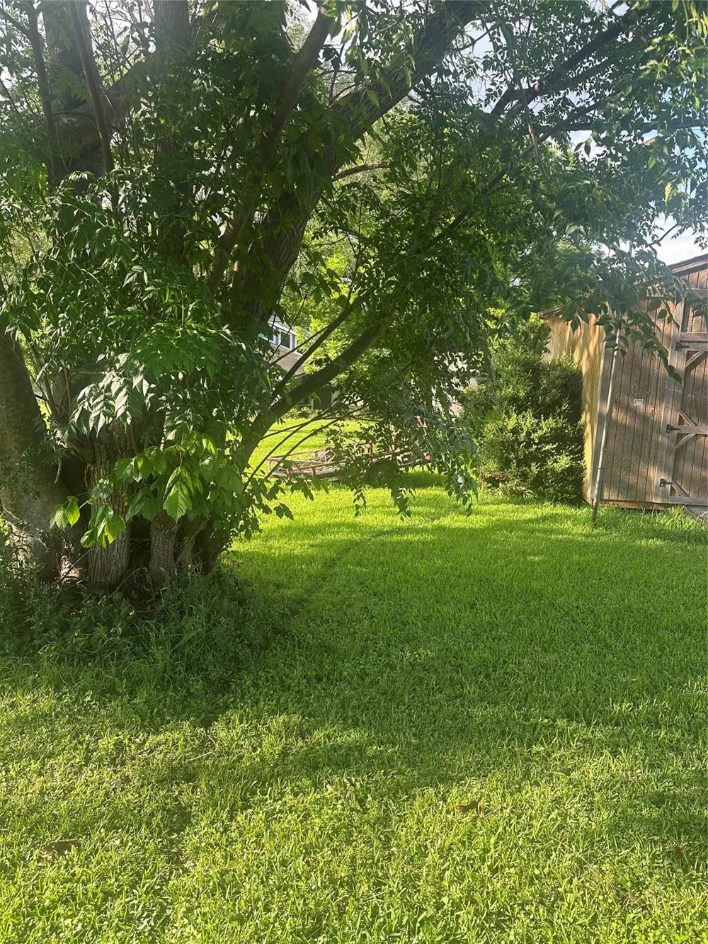 Terrace Drive Point Blank, TX 77364