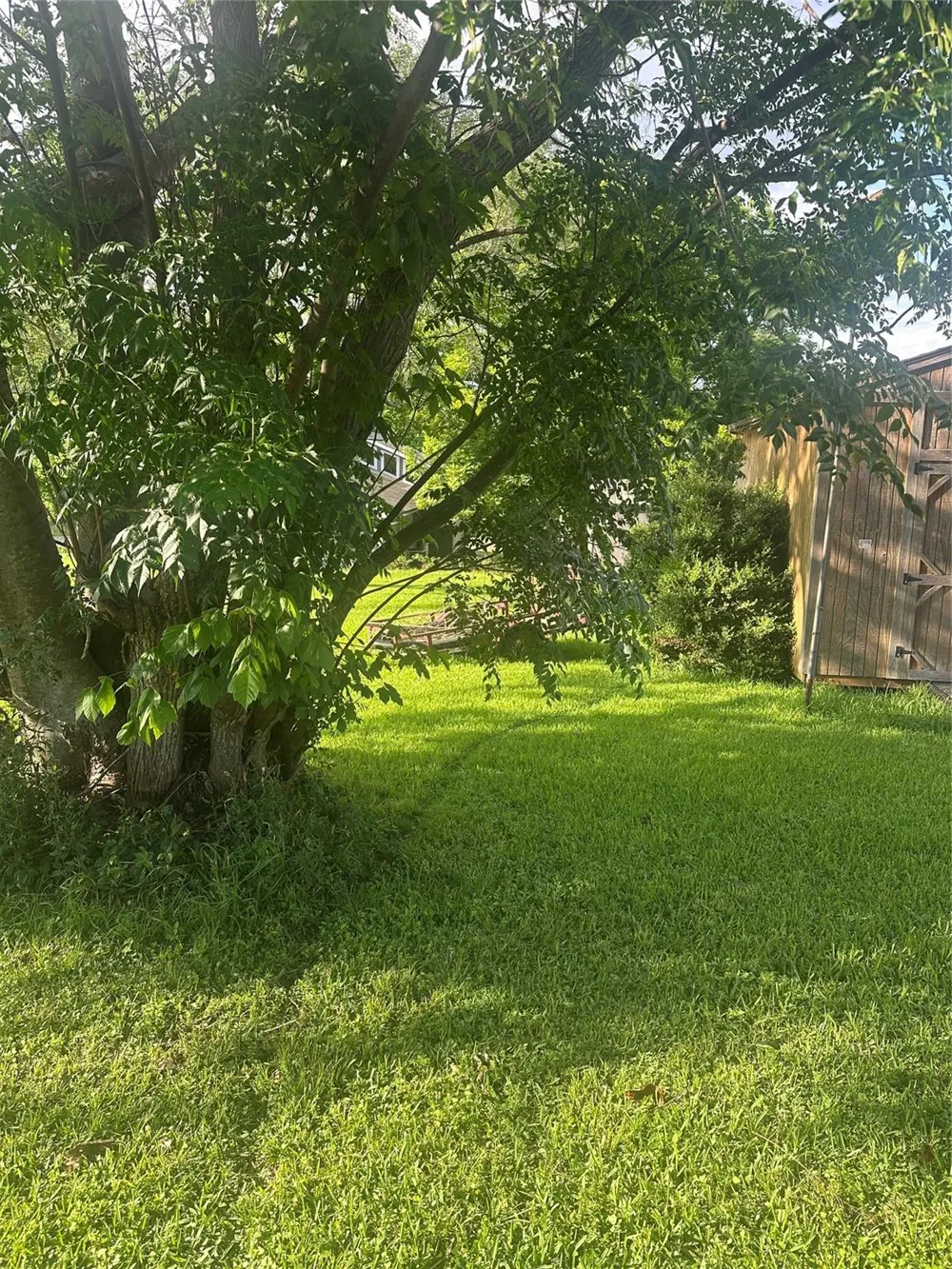 Terrace Drive Point Blank, TX 77364
