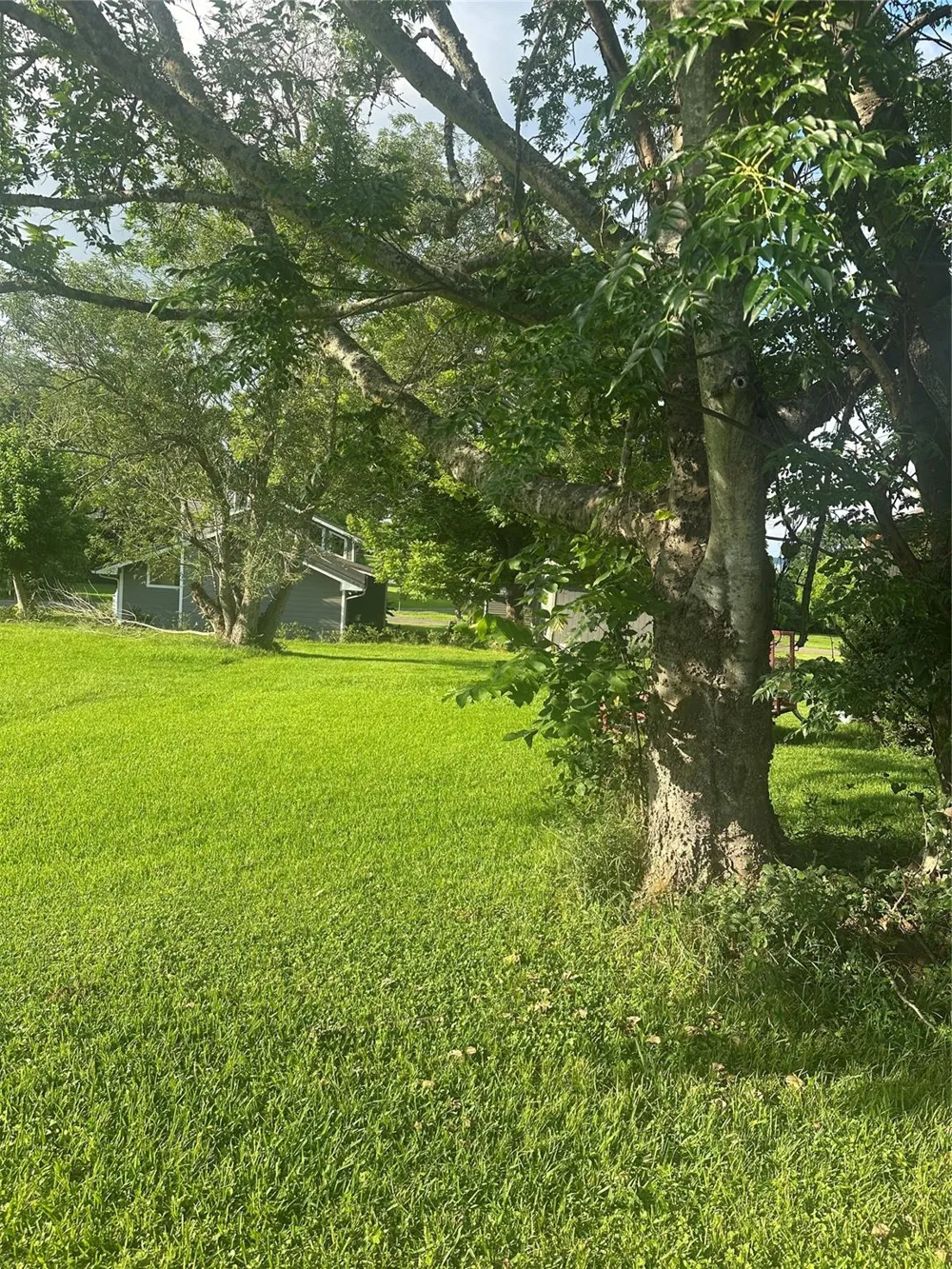Terrace Drive Point Blank, TX 77364