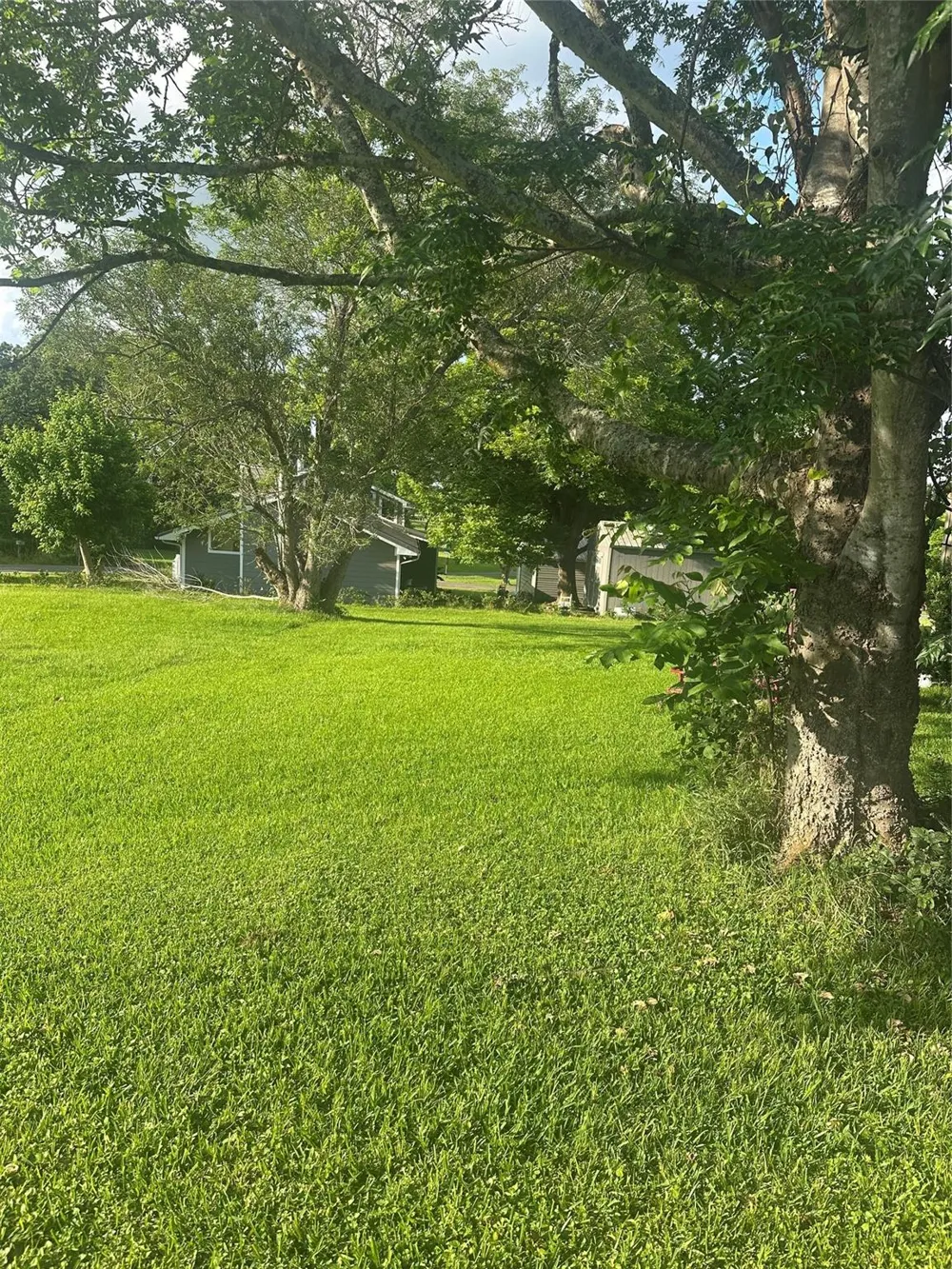 Terrace Drive Point Blank, TX 77364
