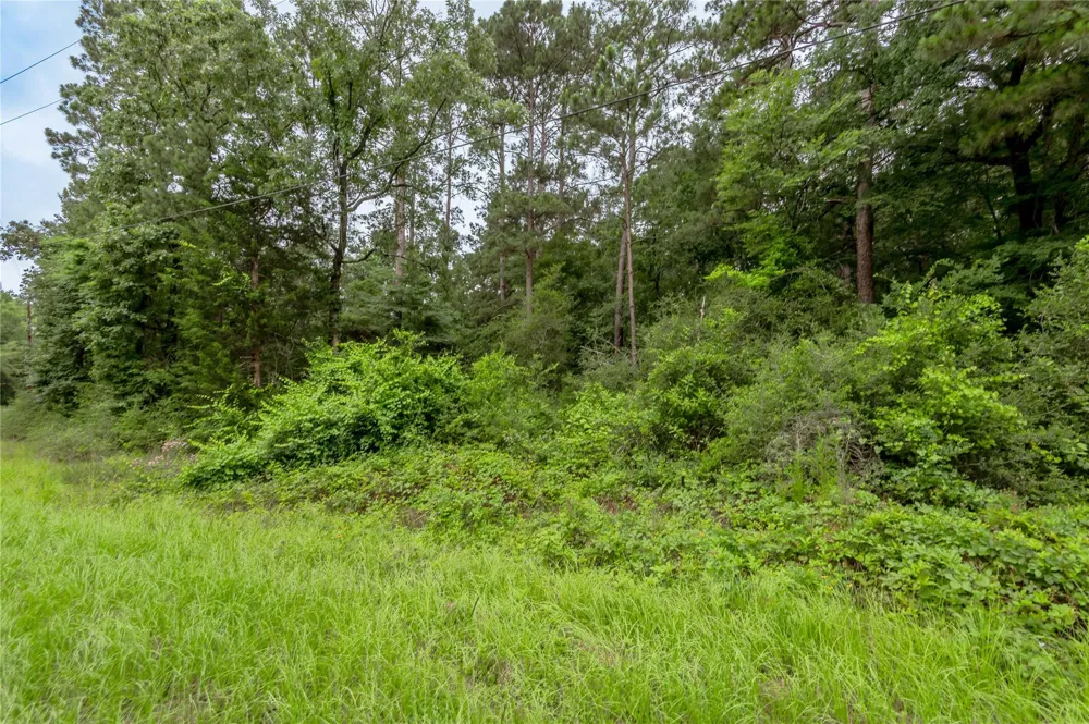 57 Post Oak Circle Trinity, TX 75862