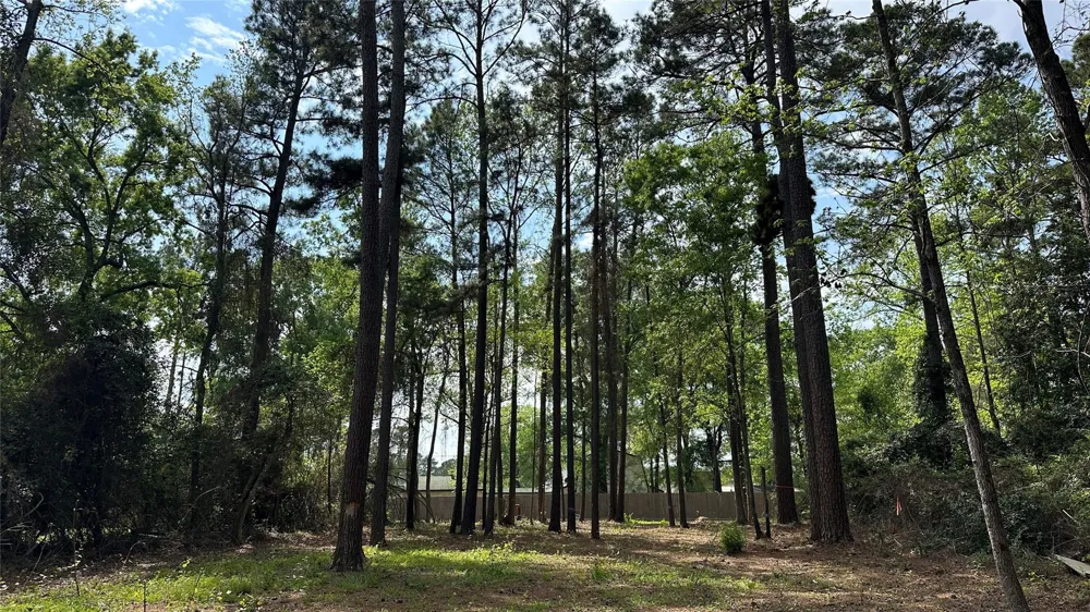 775 Huckleberry Circle Onalaska, TX 77360