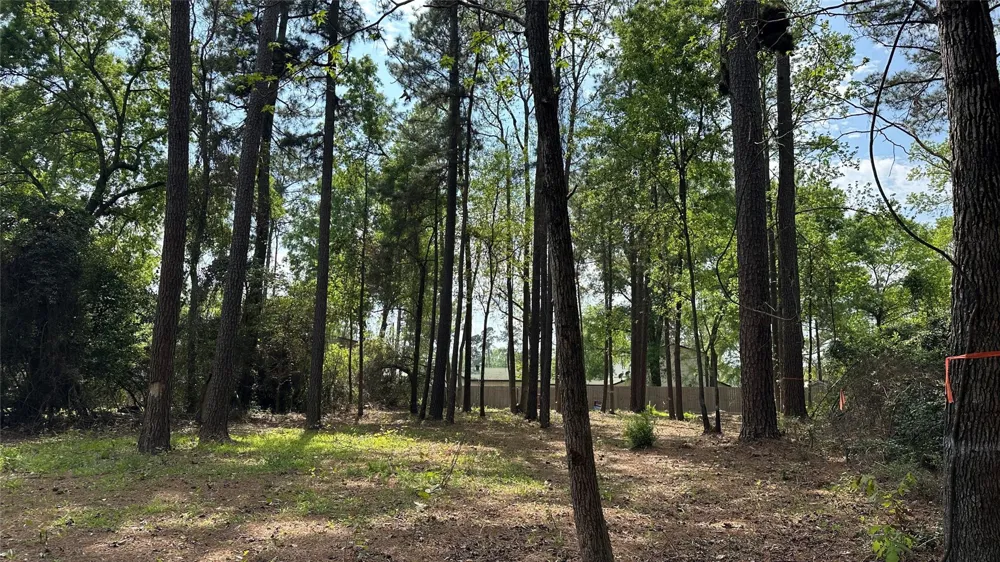 775 Huckleberry Circle Onalaska, TX 77360