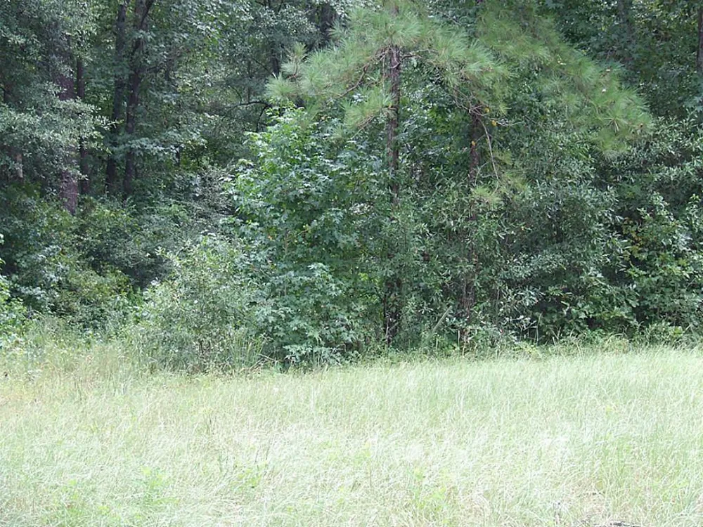 Tbd Dorrell Road Huntsville, TX 77340