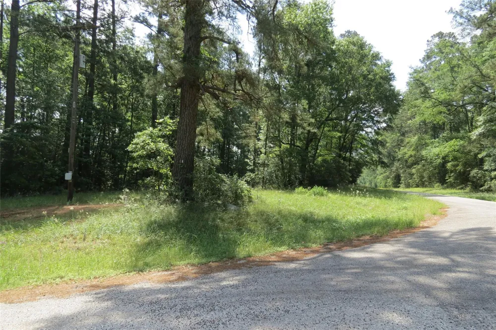 Tbd Dorrell Road Huntsville, TX 77340
