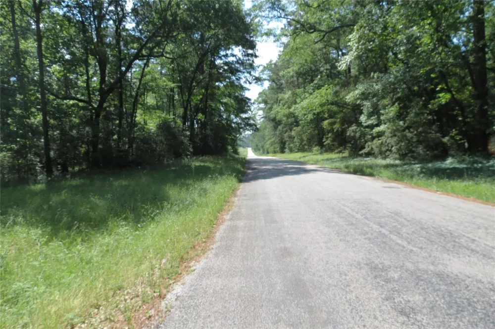 Tbd Dorrell Road Huntsville, TX 77340