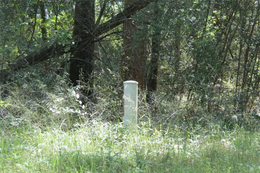 Tbd Dorrell Road Huntsville, TX 77340