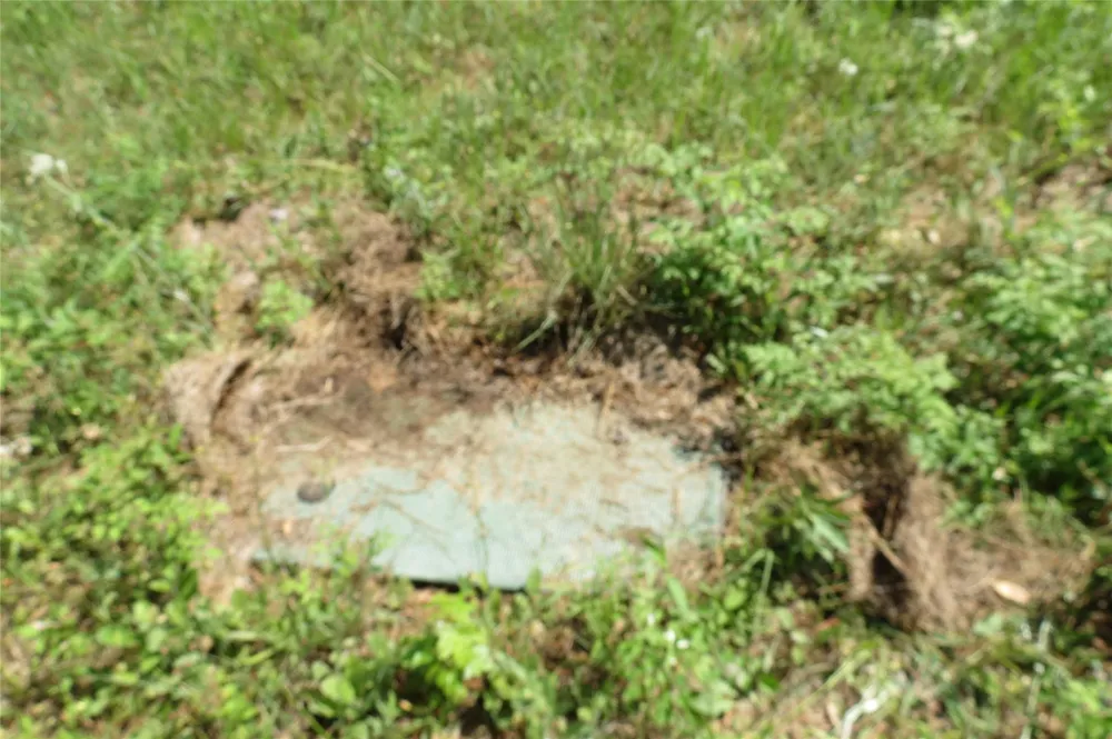 Tbd Dorrell Road Huntsville, TX 77340