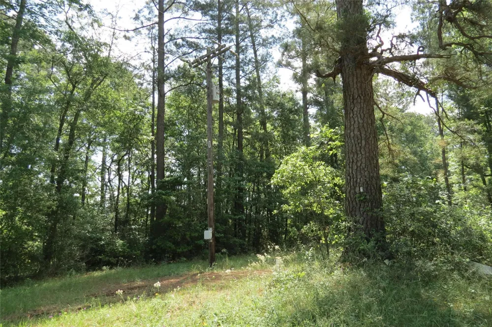 Tbd Dorrell Road Huntsville, TX 77340