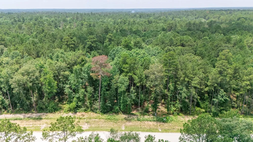 128 Splendid Road New Waverly, TX 77340